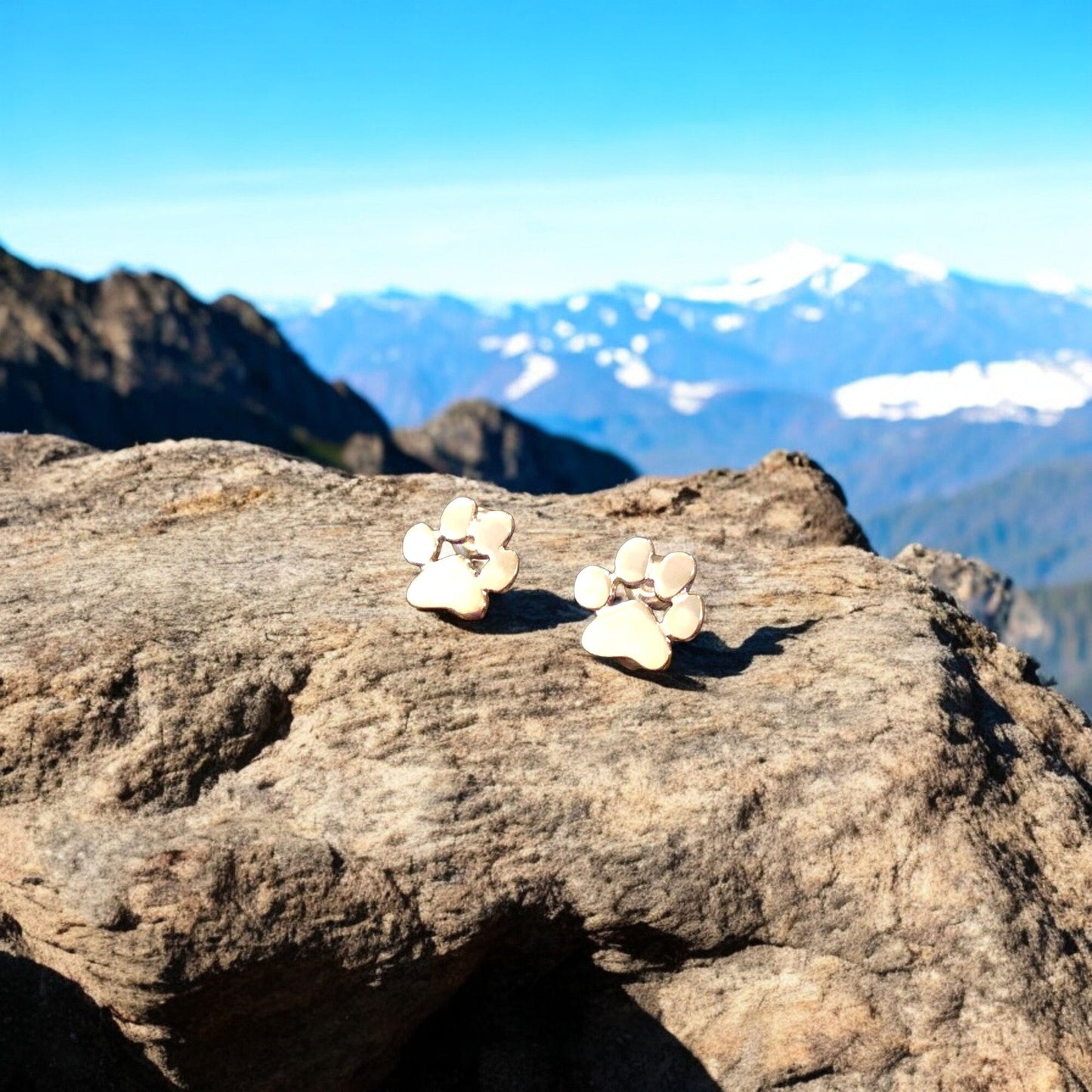LINAI – Elegant Hypoallergenic Paw Earrings Made of Stainless Steel for Any Occasion