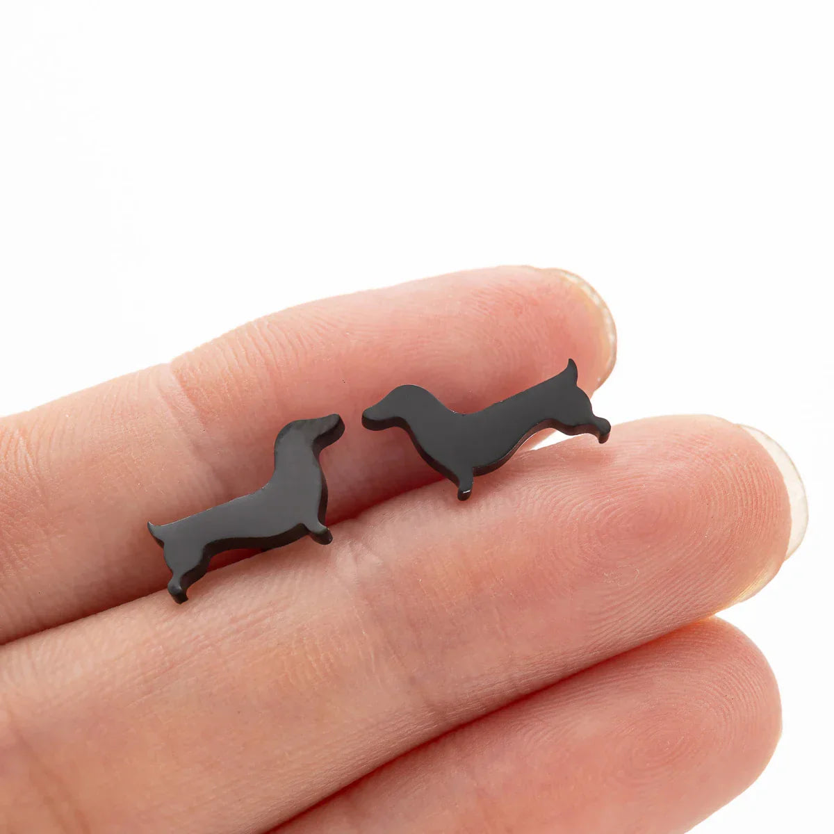 Charming Dachshund Studs