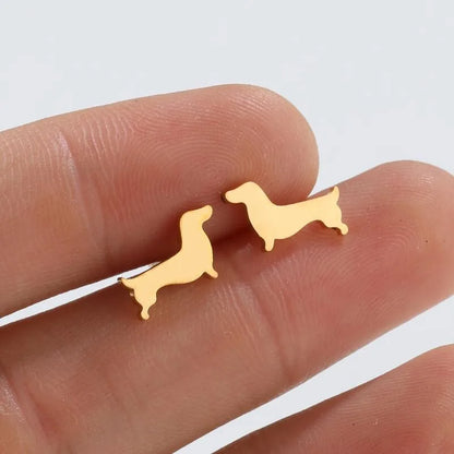 Charming Dachshund Studs