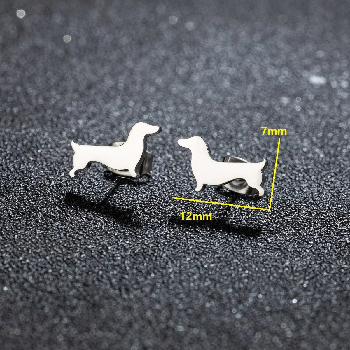 Charming Dachshund Studs