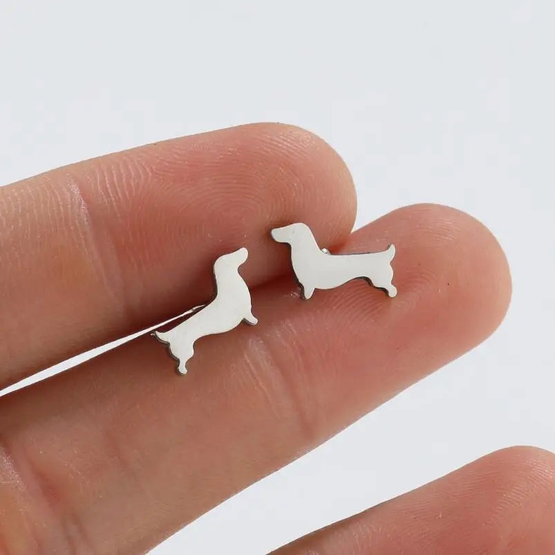 Charming Dachshund Studs