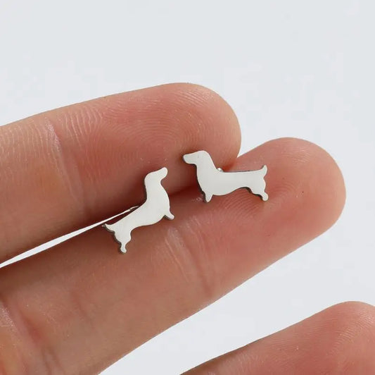 Charming Dachshund Studs